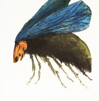 Flies_Sample