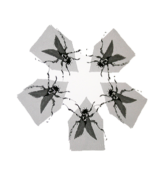Flies_Sample4
